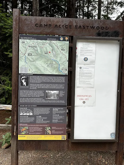 Alice Eastwood Group Campsite Picture 5