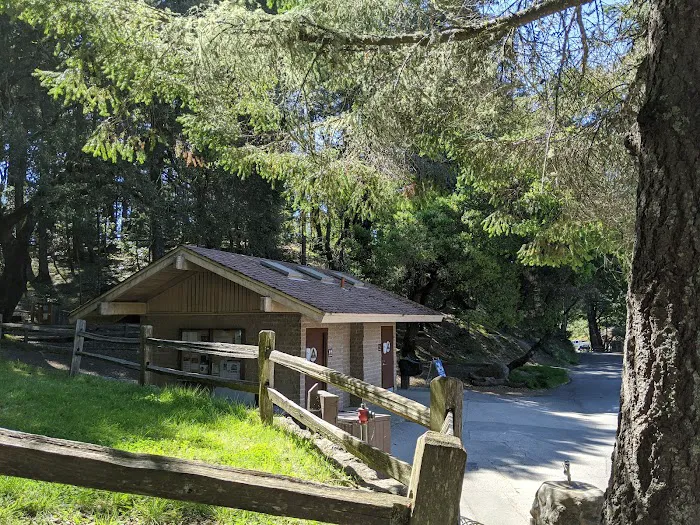 Pantoll Campground Picture 1