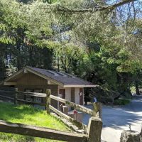 Pantoll Campground ico