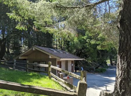 Pantoll Campground