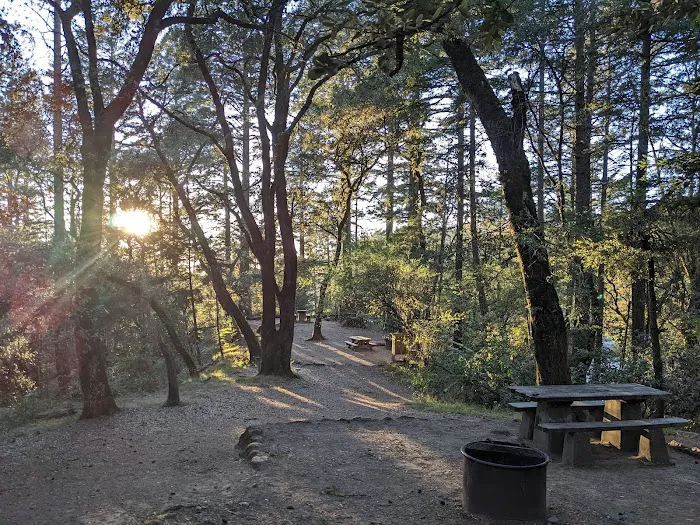 Pantoll Campground Picture 3