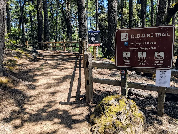Pantoll Campground Picture 2