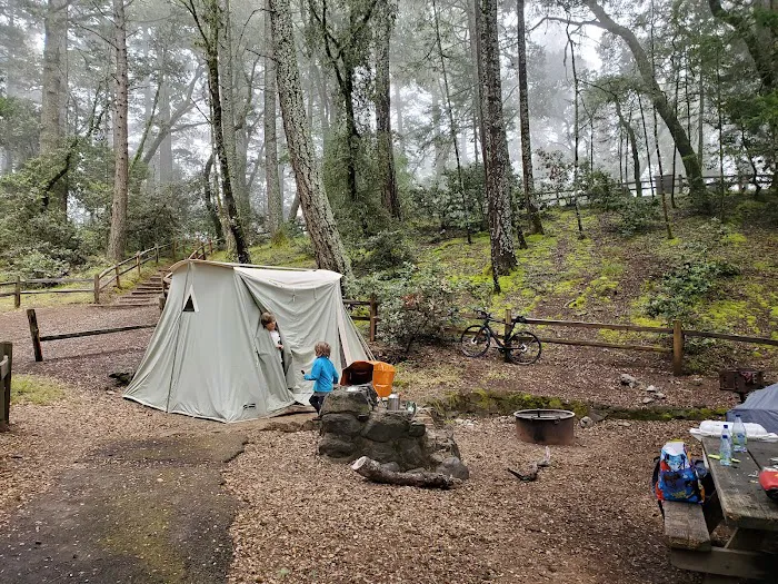 Pantoll Campground Picture 5