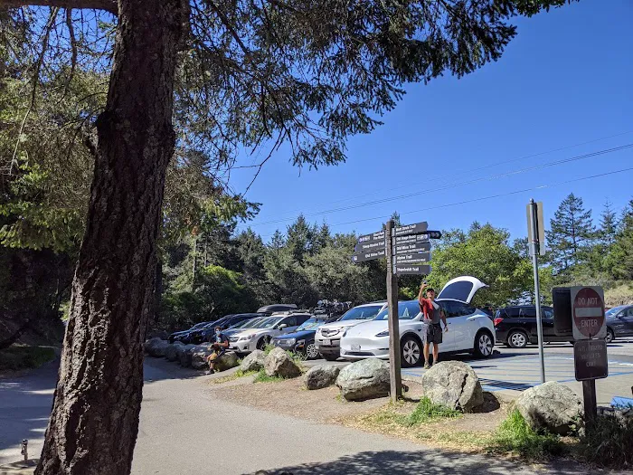 Pantoll Campground Picture 4