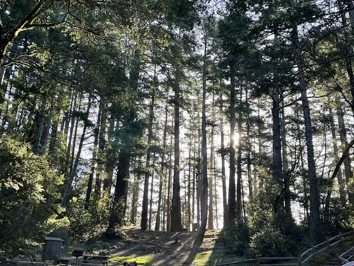 Pantoll Campground Picture 7