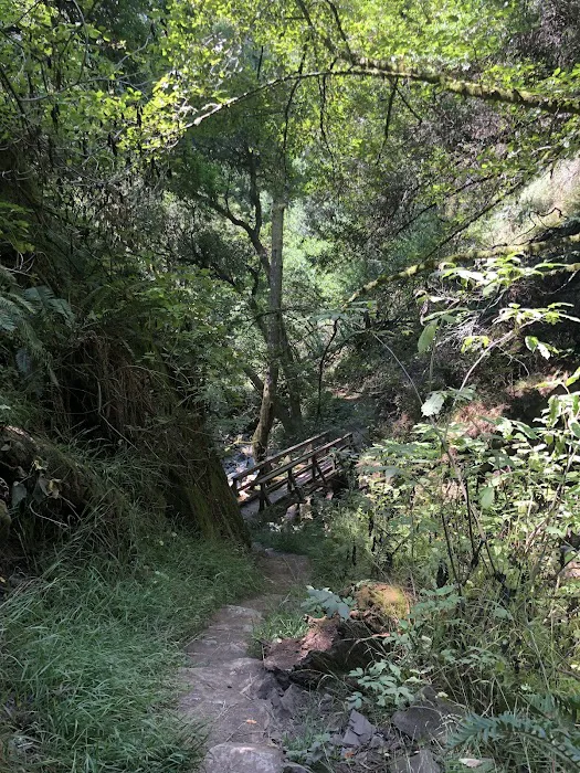 Steep Ravine Picture 10