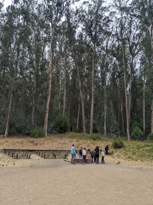 New Woodland Group Camp Picture 1