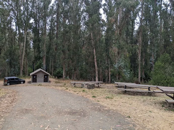 New Woodland Group Camp Picture 2