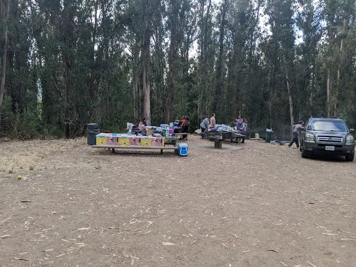 New Woodland Group Camp Picture 3