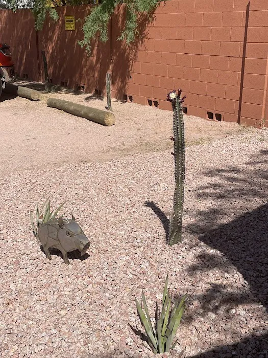 Tumbleweed RV Apache Junction Picture 4