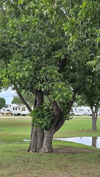 Riverway RV Park Picture 2