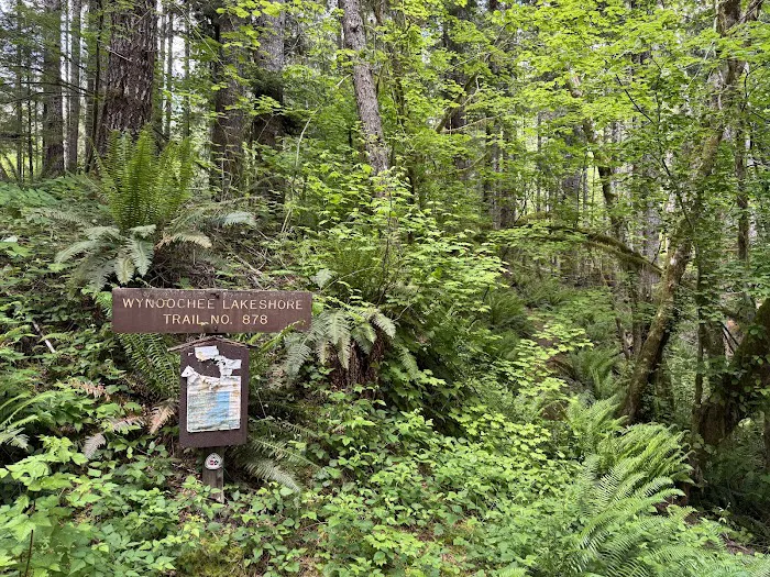 Coho Campground Picture 5