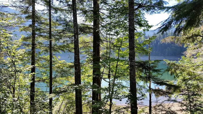 Coho Campground Picture 6