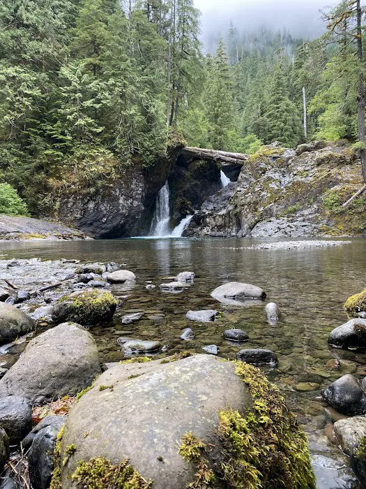 Coho Campground Picture 10