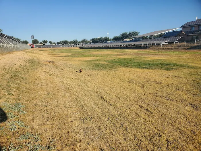 Flag City RV Resort Picture 4
