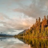 Willaby Campground ico