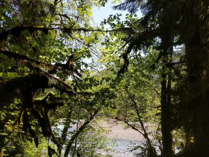 Mount Tom Creek Picture 1