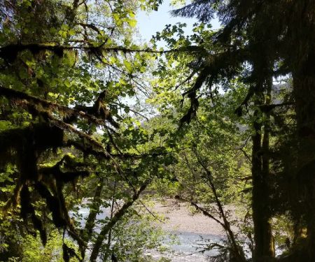 Mount Tom Creek