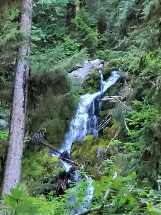 Mount Tom Creek Picture 4