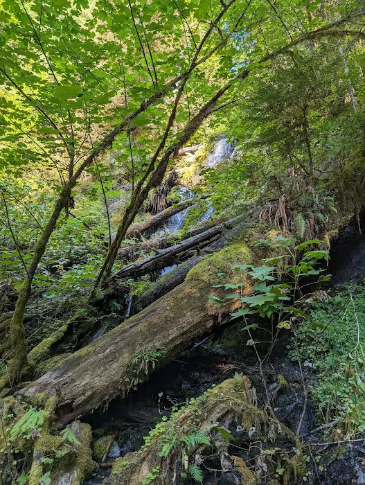 Mount Tom Creek Picture 5