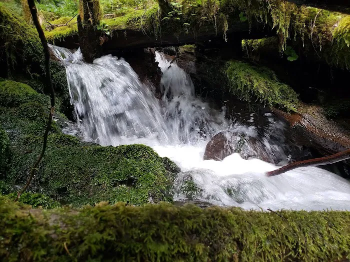 Mount Tom Creek Picture 9