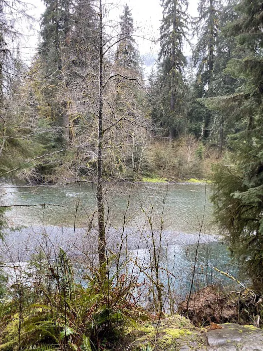 Mount Tom Creek Picture 8