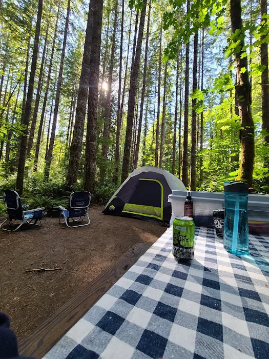 Cowlitz Falls Campground Picture 6