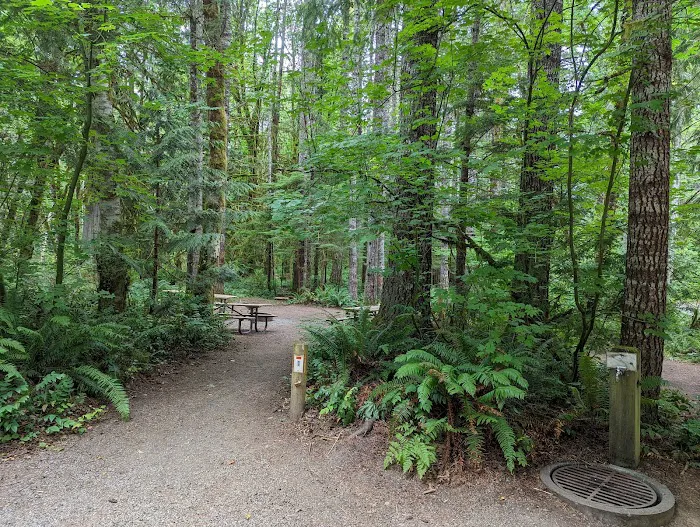 Cowlitz Falls Campground Picture 3