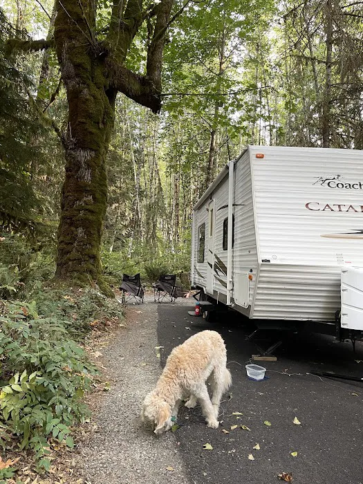 Cowlitz Falls Campground Picture 5