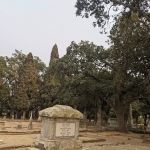 Lodi Lake