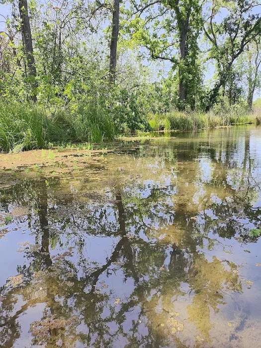 Lodi Lake Picture 6