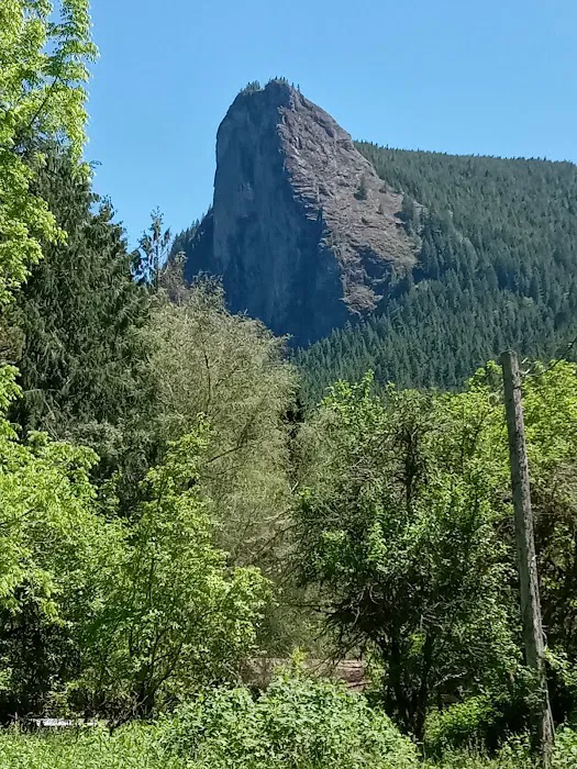 Tower Rock U-Fish RV Park Picture 2