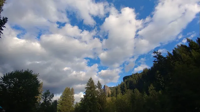 Tower Rock U-Fish RV Park Picture 5