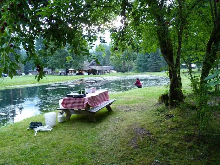 Tower Rock U-Fish RV Park Picture 4