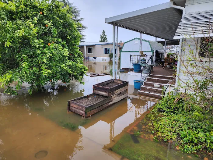 Arbor Mobile Home Park Picture 3