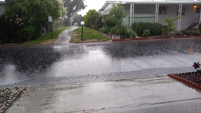 Arbor Mobile Home Park Picture 2