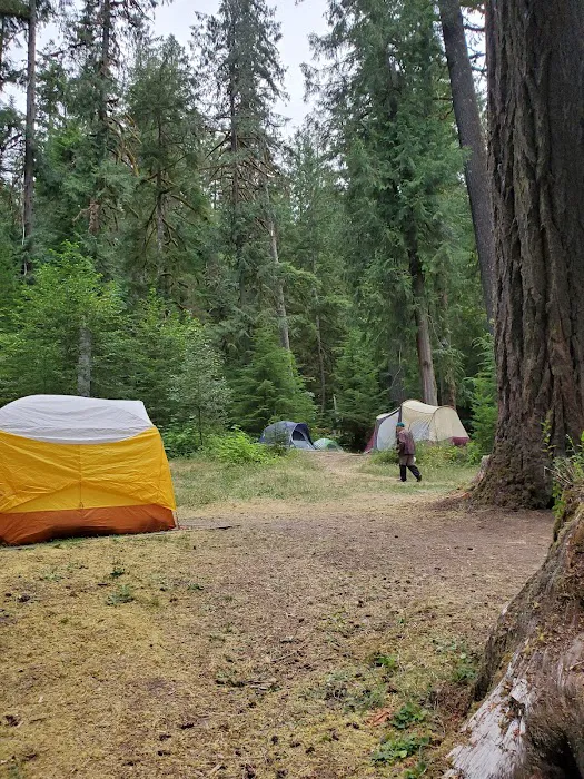 North Fork Elk Group Camp Picture 1