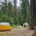 North Fork Elk Group Camp