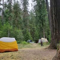 North Fork Elk Group Camp ico