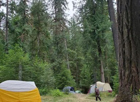 North Fork Elk Group Camp