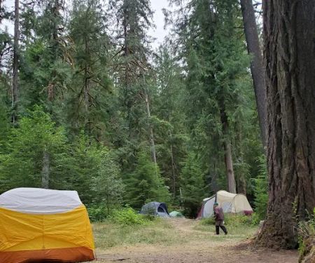 North Fork Elk Group Camp