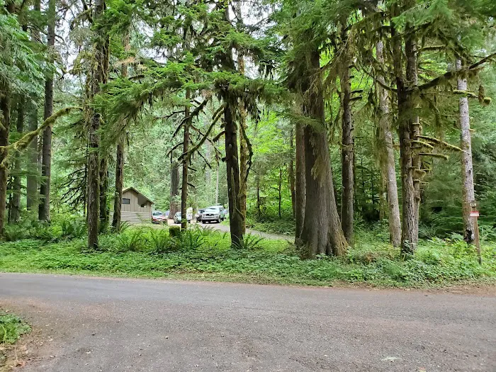 North Fork Elk Group Camp Picture 6