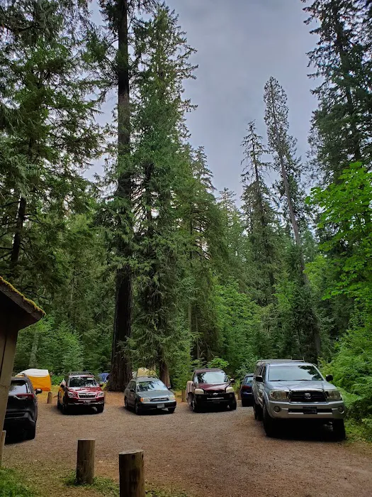 North Fork Elk Group Camp Picture 8