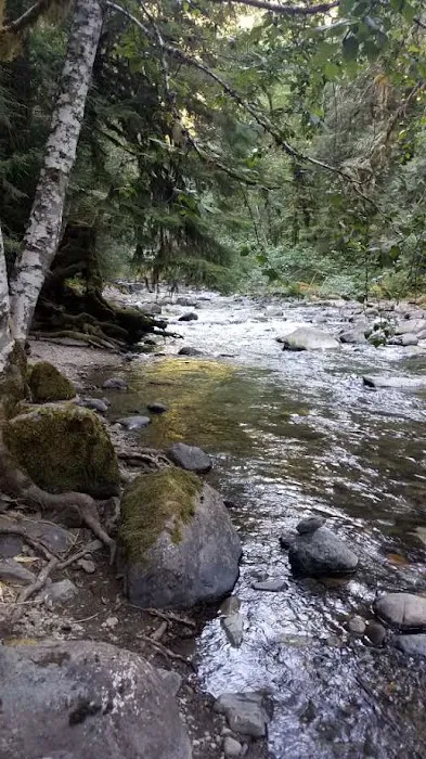 North Fork Elk Group Camp Picture 9