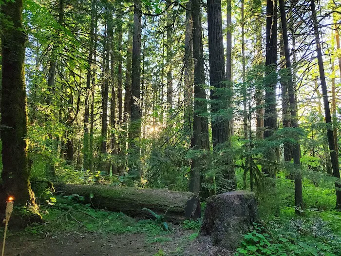 Iron Creek Campground Picture 2