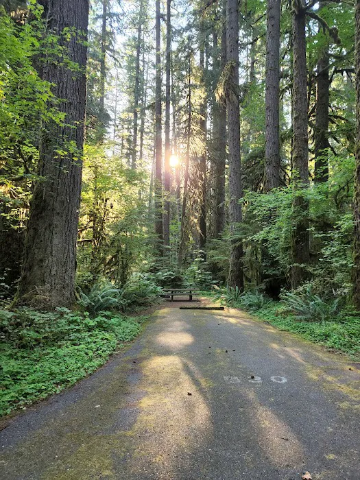 Iron Creek Campground Picture 6