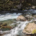 North Fork Bear Group Camp