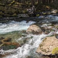 North Fork Bear Group Camp ico