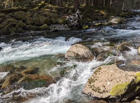 North Fork Bear Group Camp