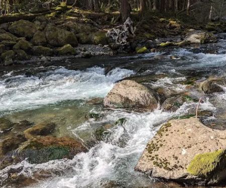 North Fork Bear Group Camp